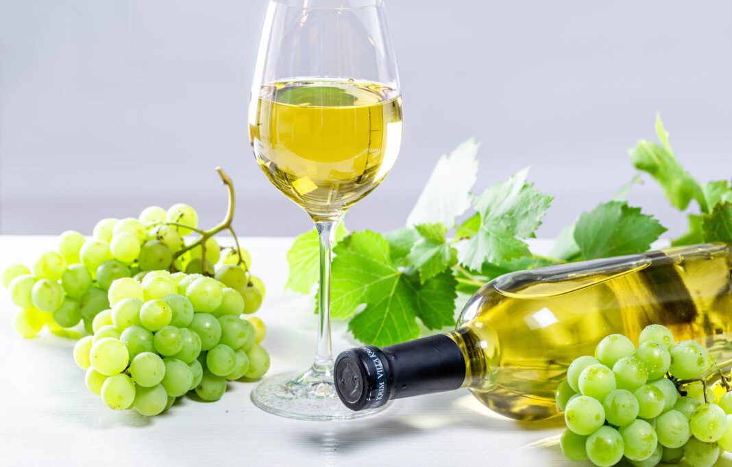 vitivinicol