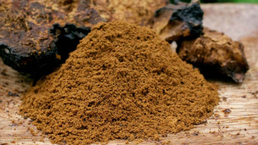 Pudra de ciuperci
