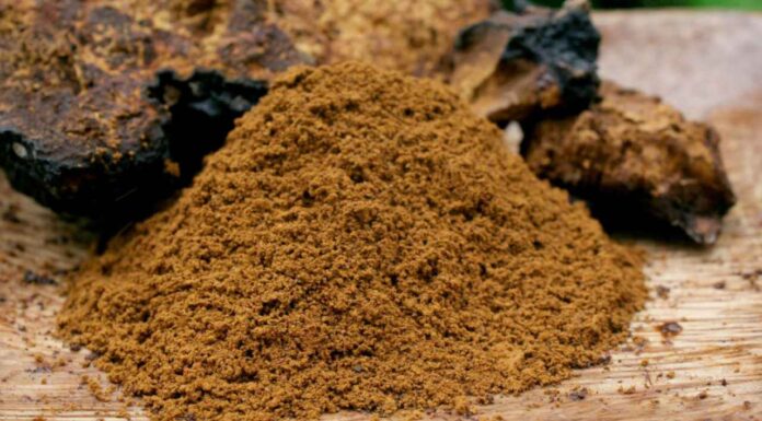 De ce producătorii de pudre proteice migrează spre formate lichide în suplimentele alimentare și produsele nutriționale Pudra de ciuperci