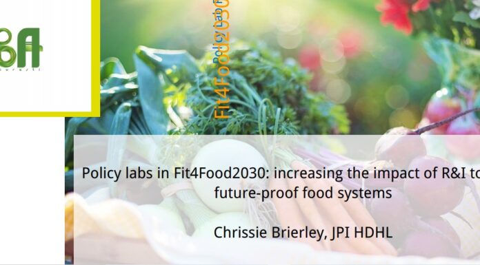 INGREDIENTS SHOW 2020: Policy labs in Fit4Food2030 Policy labs