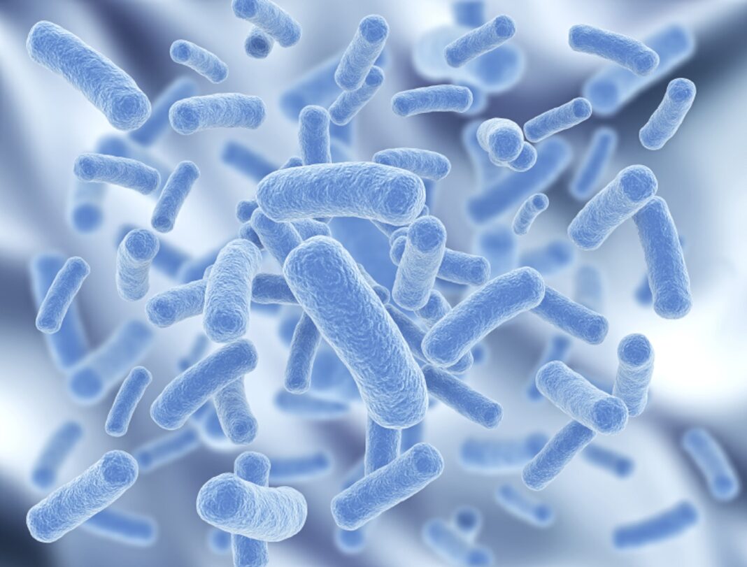 Listeria