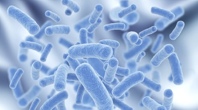 Probioticele care ar putea ajuta organismul să elimine metalele grele. Descoperirea care deschide o nouă direcție în nutriție și sănătate Listeria
