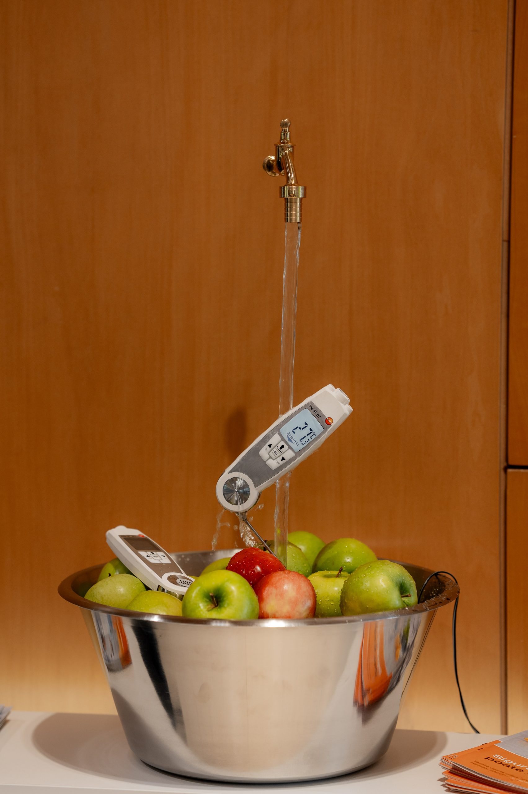 Ro_Aliment_2025-431
