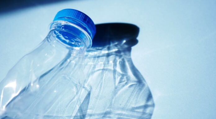 Șase soluții pentru reducerea microplasticelor din alimente și băuturi: cum răspunde industria alimentară unei crize invizibile bioplastic