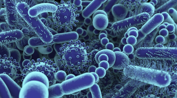 EFSA: Ce urmează pentru probioticele cu Bifidobacterium