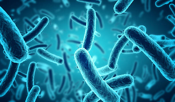 Regulile devin mai importante decât descoperirile. De ce companiile din biotehnologie schimbă strategia în cursa pentru noile probiotice Microbiome