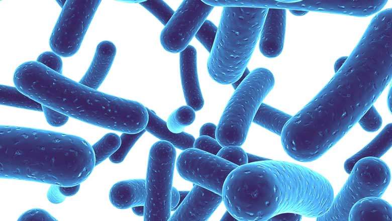 probiotic