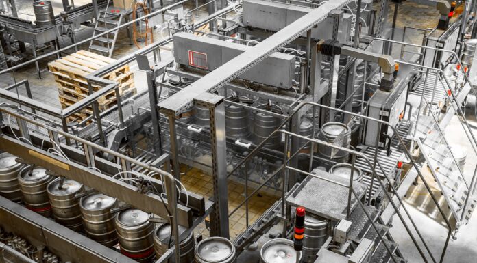 Strategia UE privind bioeconomia: Ce înseamnă aceasta pentru alimente