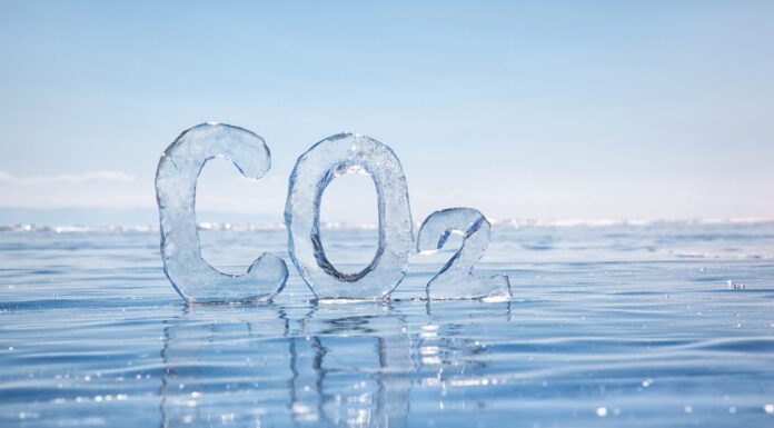 BEUC dorește interzicerea afirmațiilor „neutre din punct de vedere al emisiilor de carbon” pentru alimente și băuturi: „Nu există banane neutre în CO2”