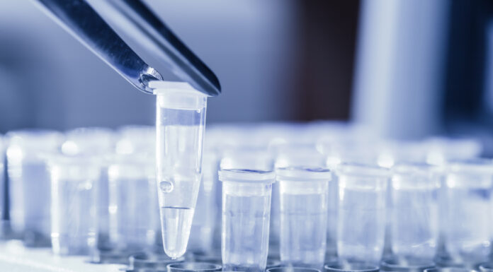 O nouă definiție pentru alimentele modificate genetic: numai cele care conțin ADN nou să fie considerate modificate genetic ADN