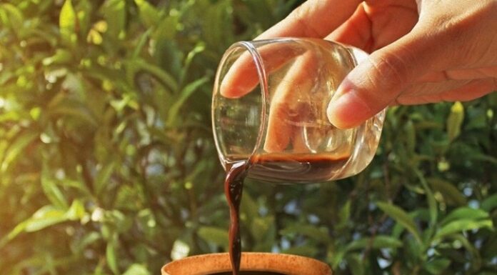 Cana de cafea comestibilă dezvoltată pentru a elimina vânzarile de plastic de unică folosință