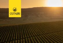 Cotnari lansează campania „Crama Transparentă”