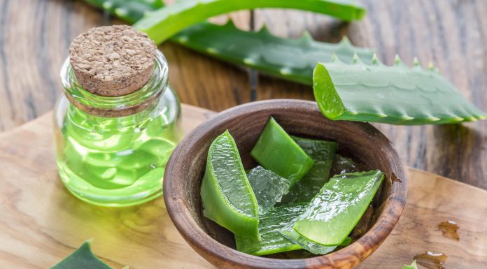 Interdicția la nivel european a preparatelor cu aloe vera în alimente a fost anulată