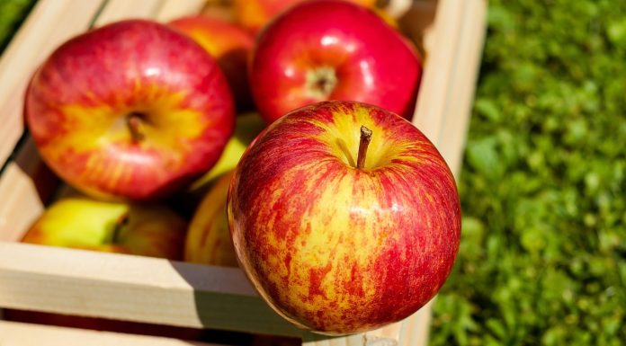 Follow-up Workshop METROFOOD RO Evolve: Un nou pas spre un ecosistem alimentar digitalizat, 11 aprilie 2025