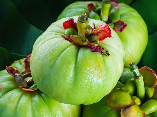 Suplimentele alimentare care conțin planta Garcinia cambogia sunt interzise în Franța Garcinia Cambogia