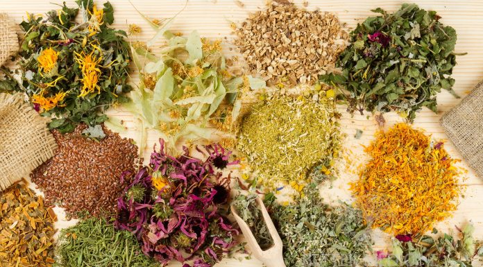 ESE 2026🔺Mențiunile de sănătate la plantele medicinale între tradiție, rigoare științifică și capcanele marketingului