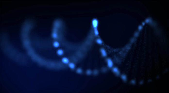 UE schimbă regulile pentru editarea genetică. Tehnologia CRISPR primește undă verde pentru o nouă generație de culturi agricole