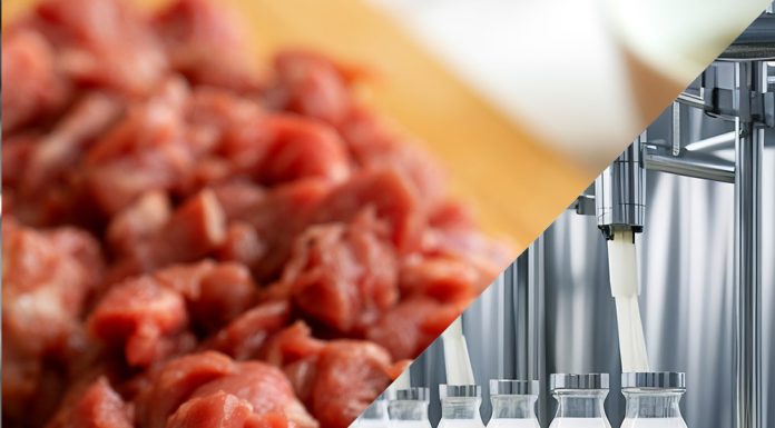 ROASHOW 2026 🫐 Produsele Romfracht elimină riscul contaminării cu biofilm în fabrici prin tehnologia detergenților enzimatici