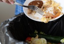 Bagaje, destinații de vis și… frigidere pline lăsate în urmă? Cum să avem un „concediu fără risipă” în ultimele săptămâni de vară