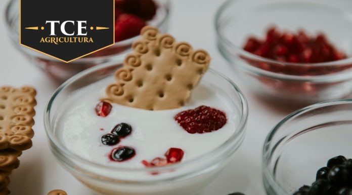 TCE AGRICULTURA® intră în competiția Ora de bun gust ☀️ premiile Gustul Ales 2026