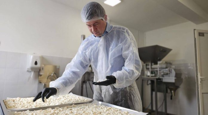 De la fermă la consumator: TCE AGRICULTURA® aduce Gustări Spațiale™ la 🫐 ROA SHOW 2026