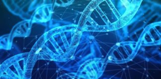 Tehnici moleculare moderne în slujba siguranței alimentare: Dialab Solutions la 💠 RO.aliment SHOW 2026