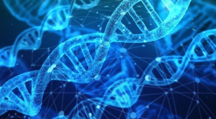 Tehnici moleculare moderne în slujba siguranței alimentare: Dialab Solutions la 💠 RO.aliment SHOW 2026