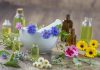 Țările de Jos propun restricții pentru mai multe ingrediente botanice