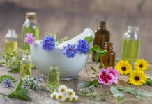 Țările de Jos propun restricții pentru mai multe ingrediente botanice