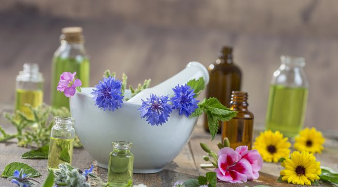 Țările de Jos propun restricții pentru mai multe ingrediente botanice